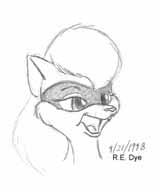coon_004.jpg