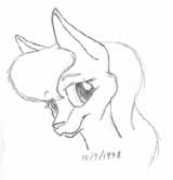 head_016.jpg